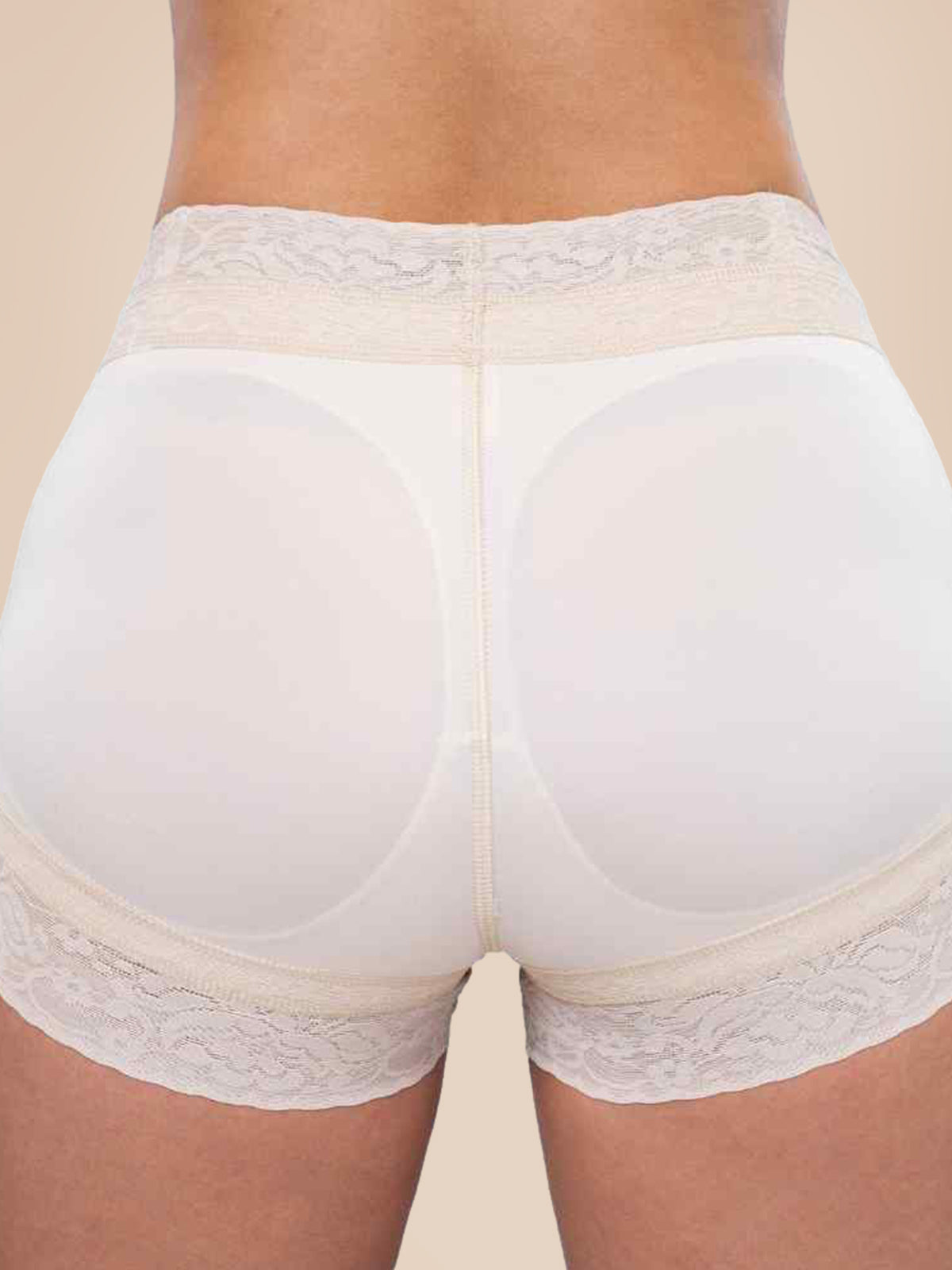 Shapewear Lace Control Brief Panty